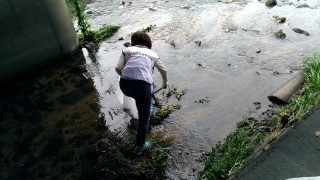 川辺の清掃ボランティアに参加しました